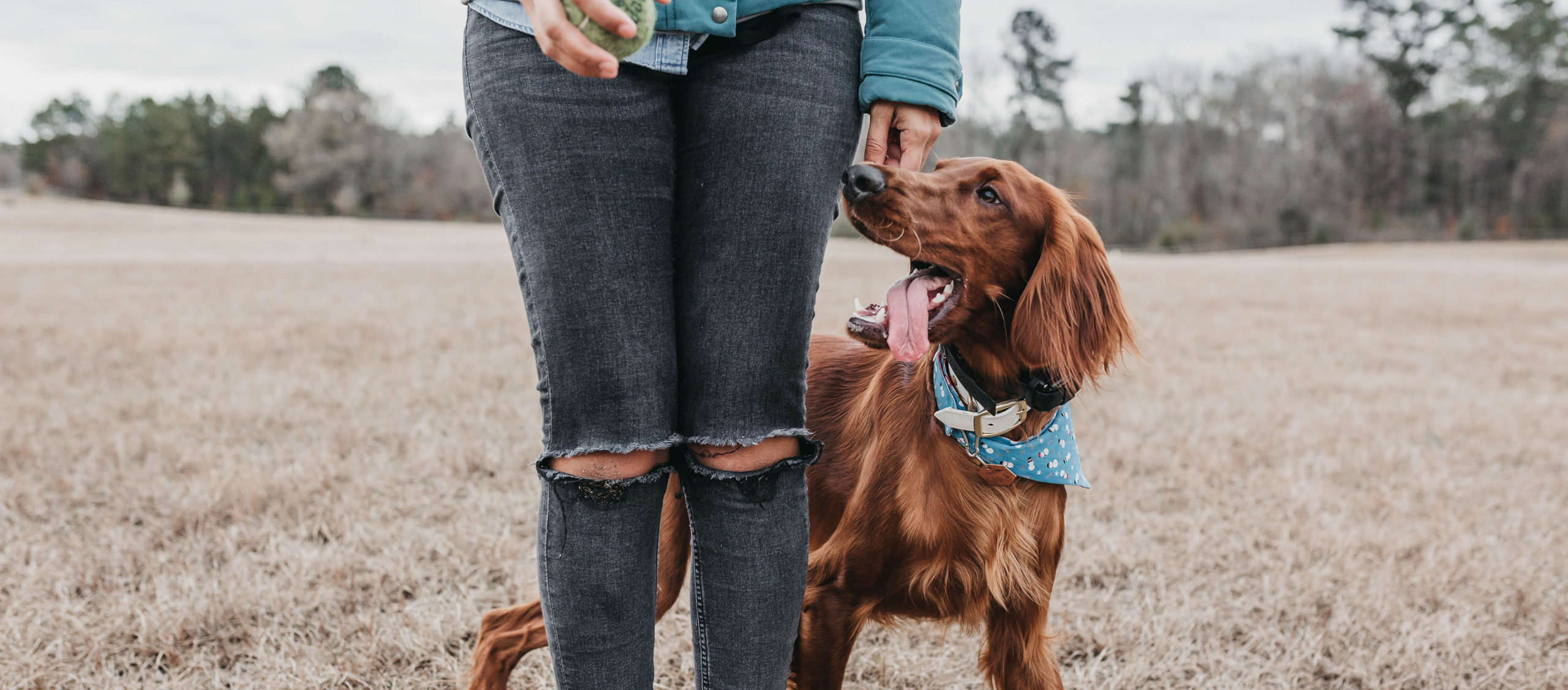 Woman Walking with Dog Woman Walking with Dog